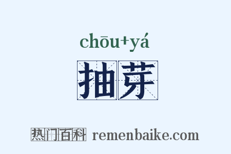 抽芽是什么意思的图片